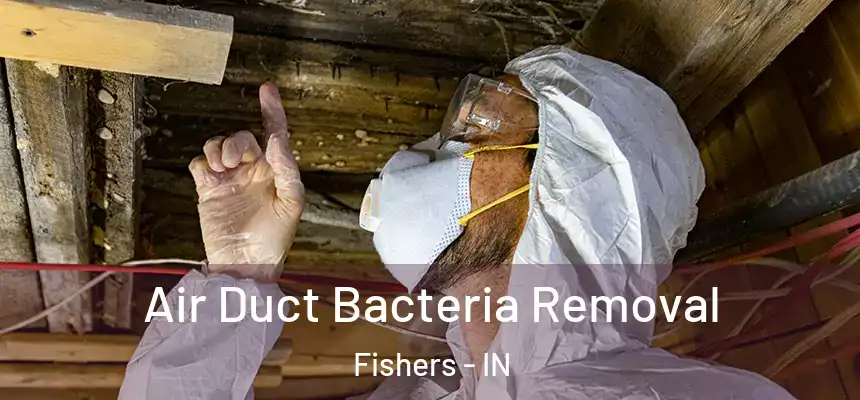  Air Duct Bacteria Removal Fishers - IN