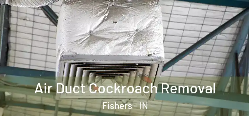  Air Duct Cockroach Removal Fishers - IN