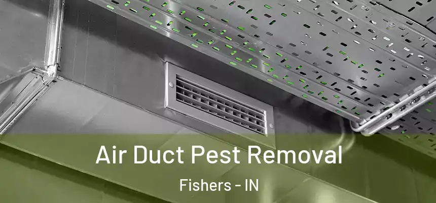 Air Duct Pest Removal Fishers - IN