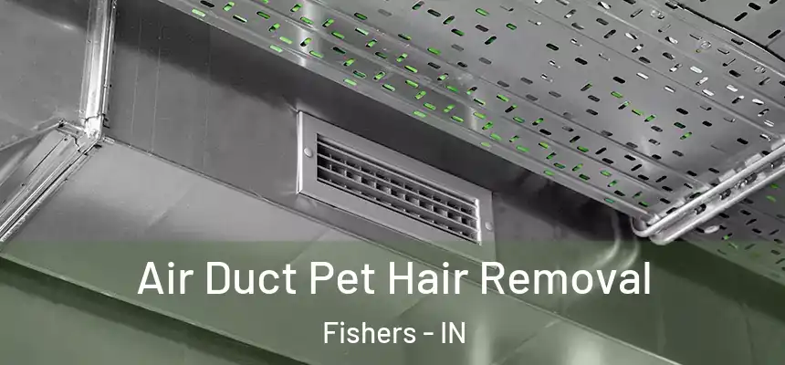Air Duct Pet Hair Removal Fishers - IN