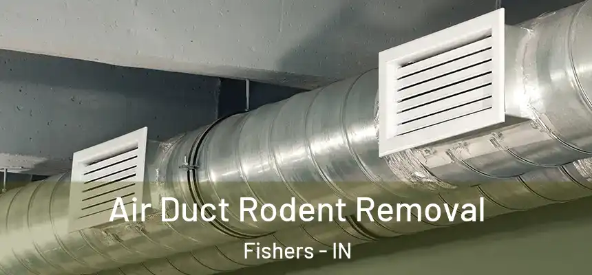 Air Duct Rodent Removal Fishers - IN