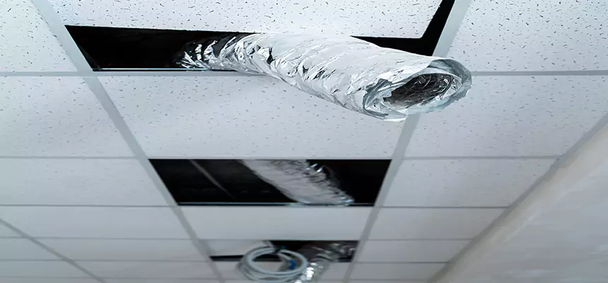 Affordable HVAC Sanitizing After Pest Removal in Fishers