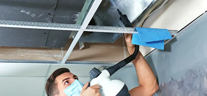 Our Air Duct Rodent Removal Services in Fishers, IN