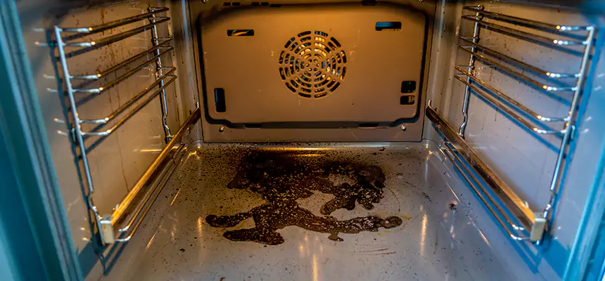 Our Dryer Vent Mold Cleaning Services in Fishers, IN