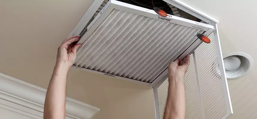 Our Insect Removal from Air Ducts Services in Fishers, IN