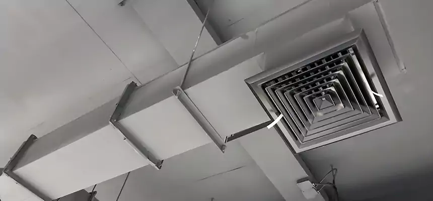 Our Rodent Droppings In Vents Services in Fishers, IN