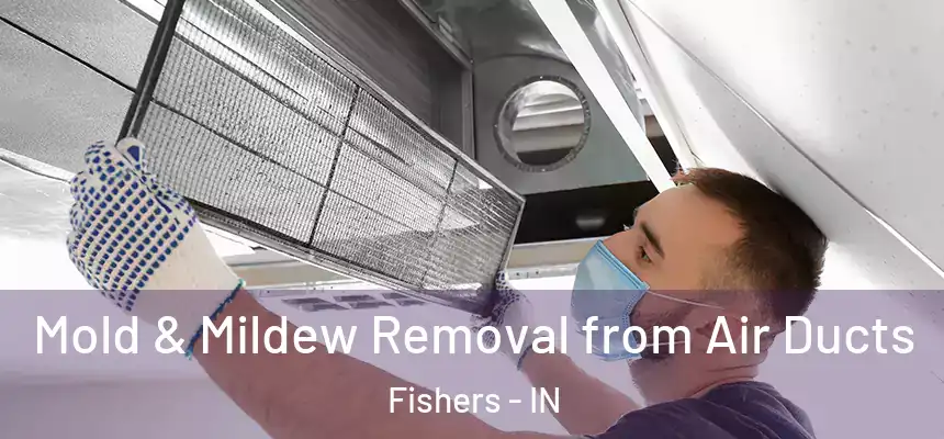 Mold & Mildew Removal from Air Ducts Fishers - IN