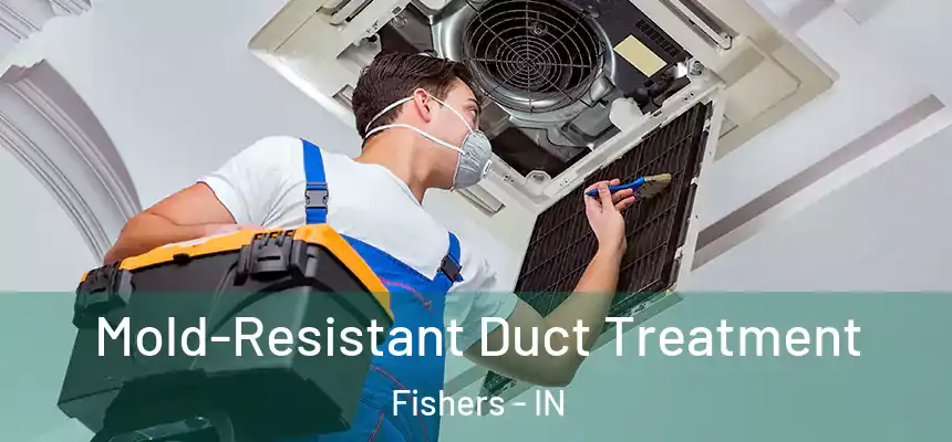 Mold-Resistant Duct Treatment Fishers - IN