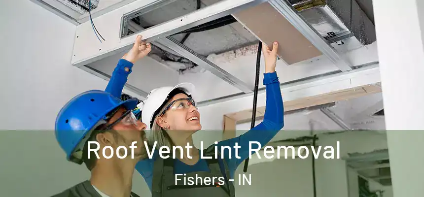 Roof Vent Lint Removal Fishers - IN