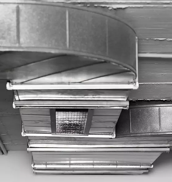 Professional Air Duct Pest Removal in Fishers, IN