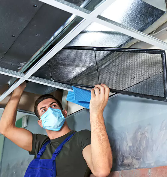 Professional Air Duct Pollen Cleaning in Fishers, IN