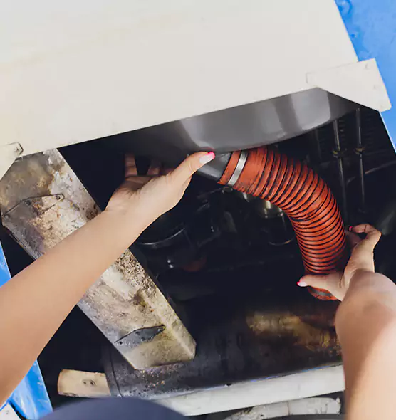 About Air Duct Virus Disinfection in Fishers, IN