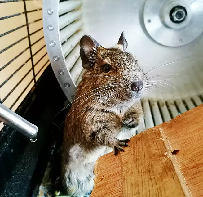 Why Homeowners & Businesses Trust Us Fishers, IN