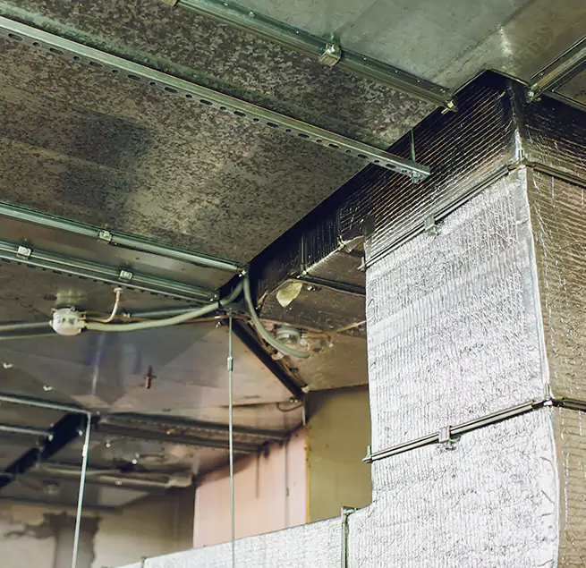 Why Homeowners & Businesses Trust Us in Fishers, IN?